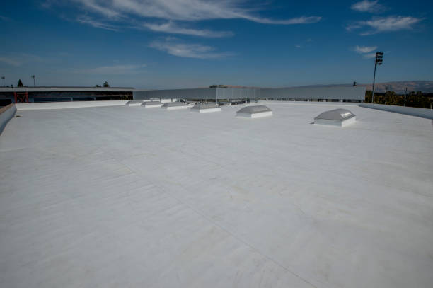 Best Rubber Roofing (EPDM, TPO)  in Otterbe, IN